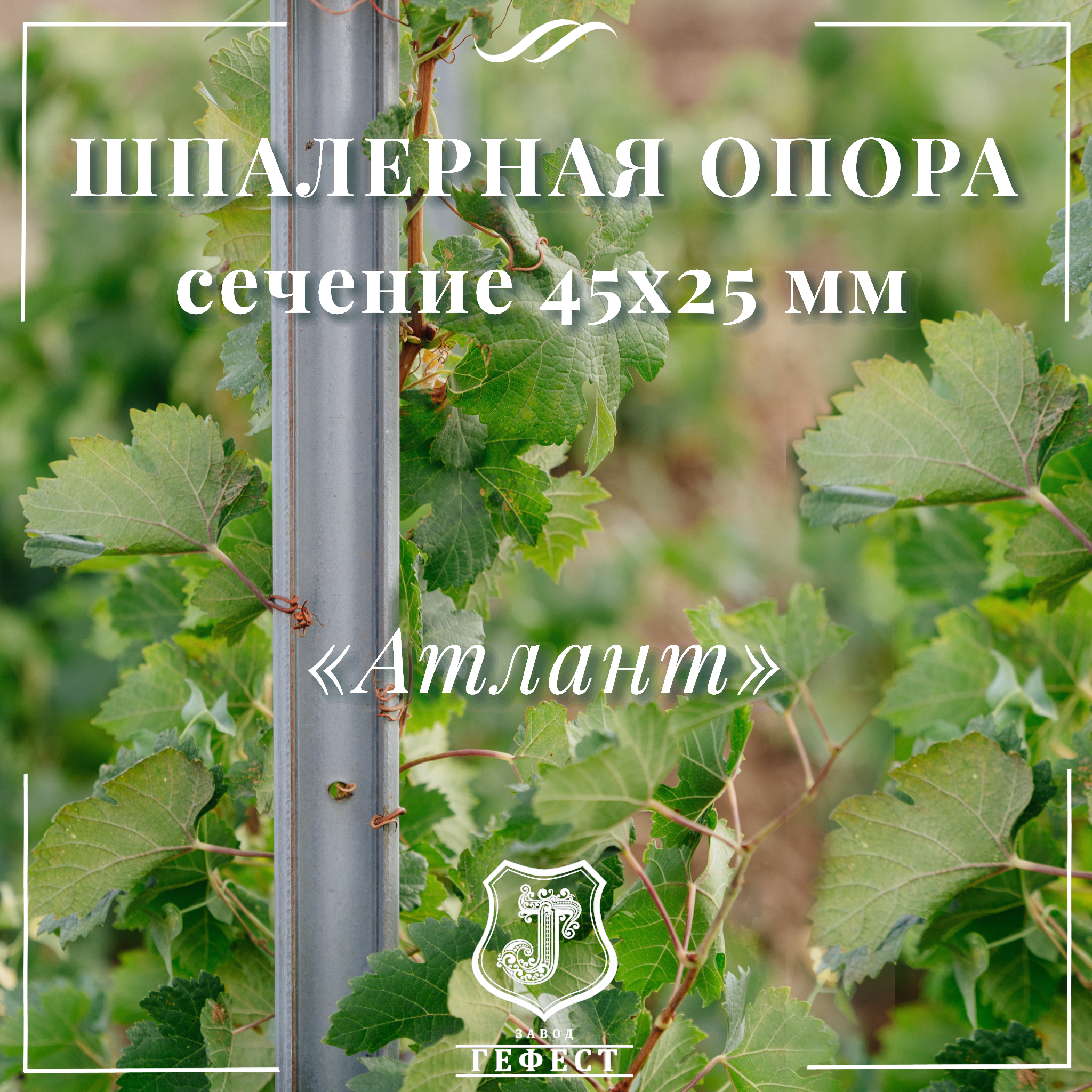 Шпалерная опора  сечение 45х25 мм 