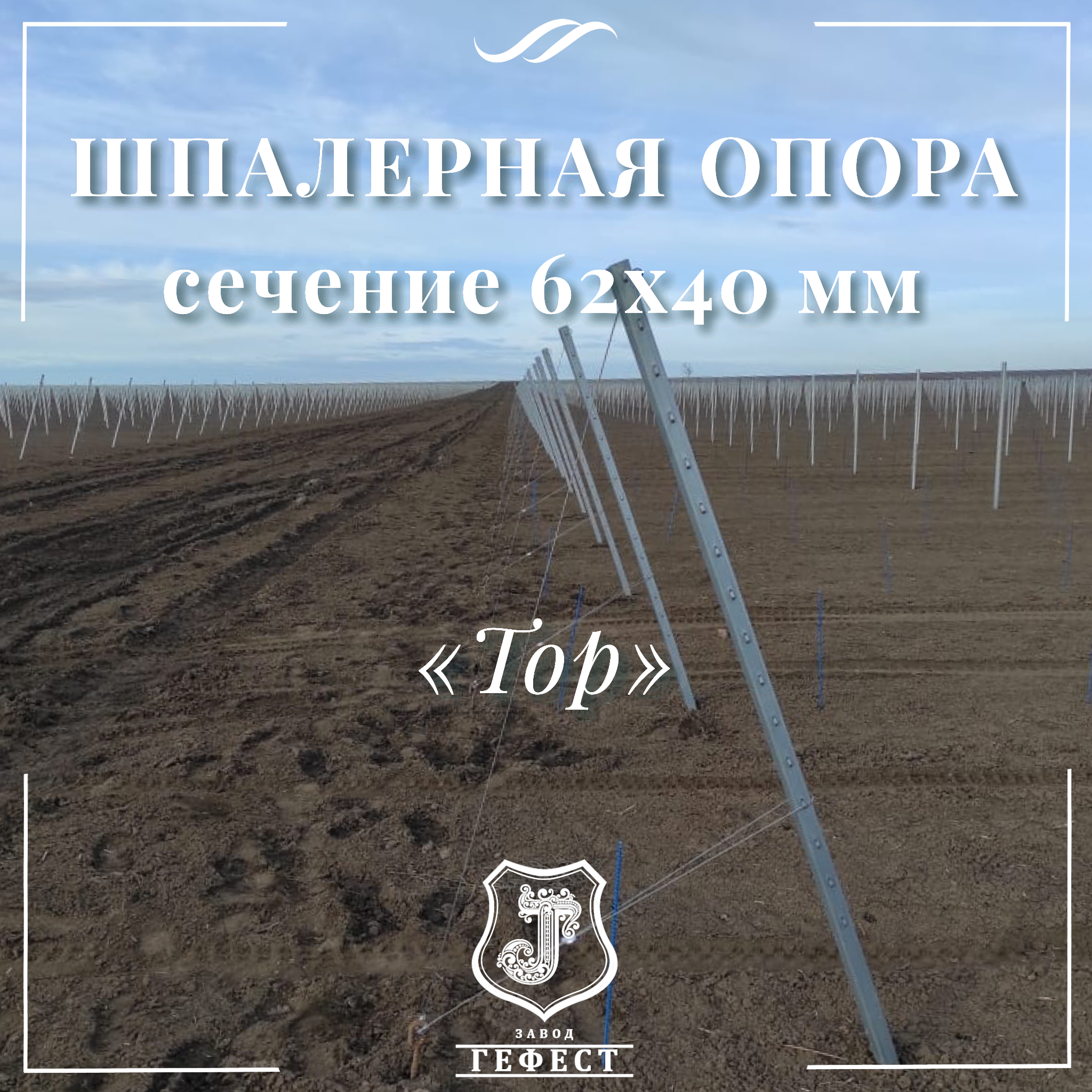 Шпалерная опора  сечение 62х40 мм 