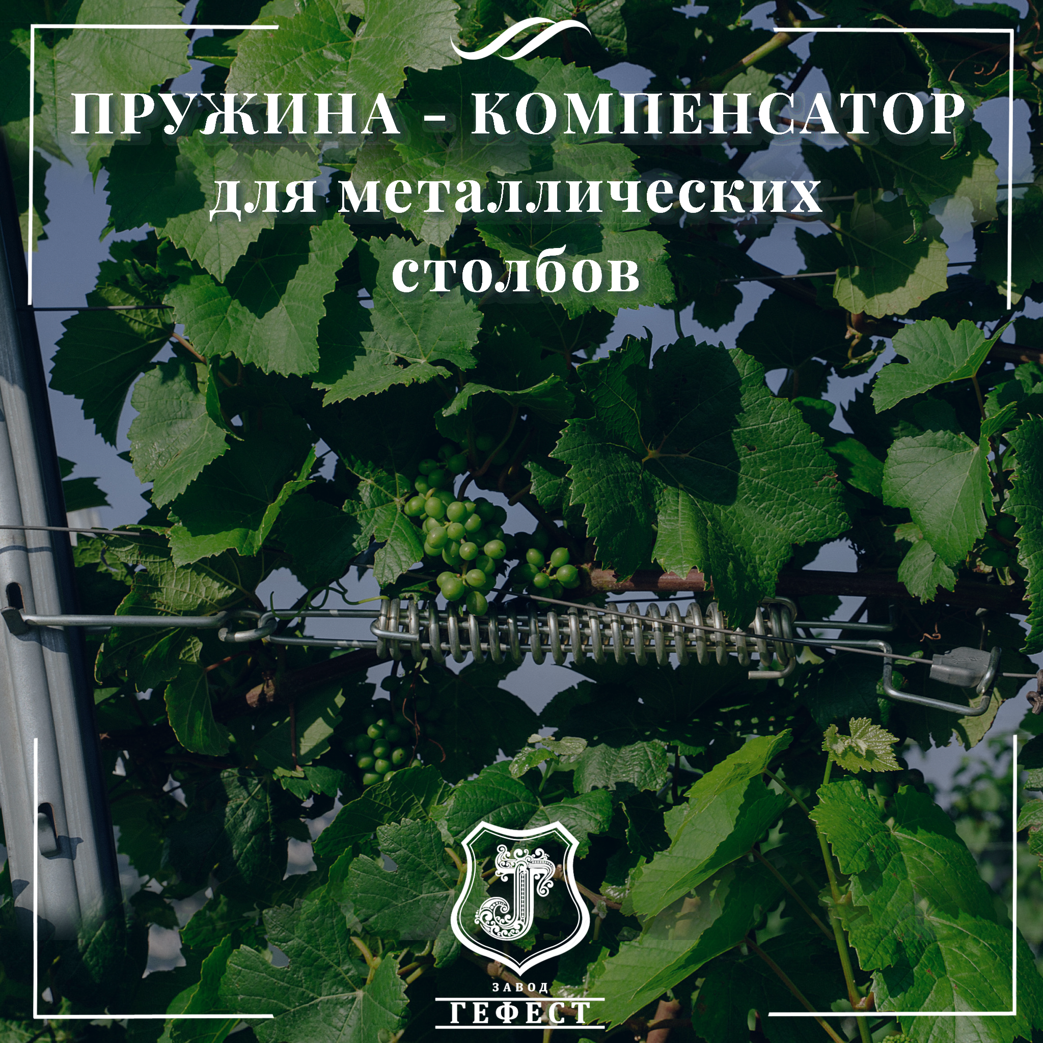 Пружина - компенсатор для откосных шпалерных столбов на виноградниках