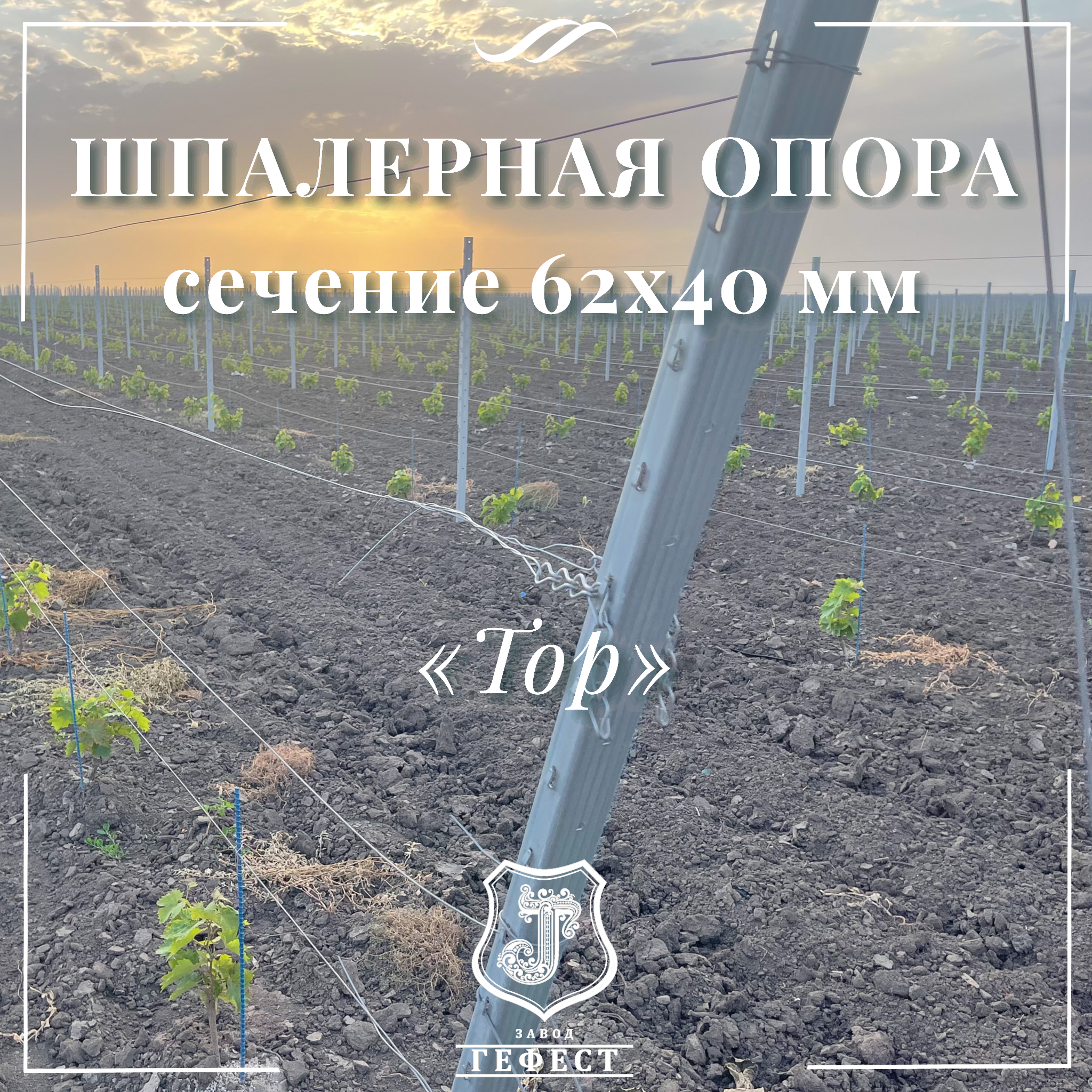 Шпалерная опора  сечение 62х40 мм 