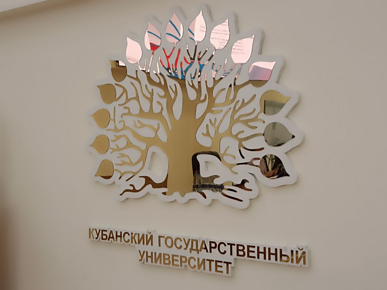 Промышленники и университетское сообщество Кубани обсудили вопросы роботизации производств