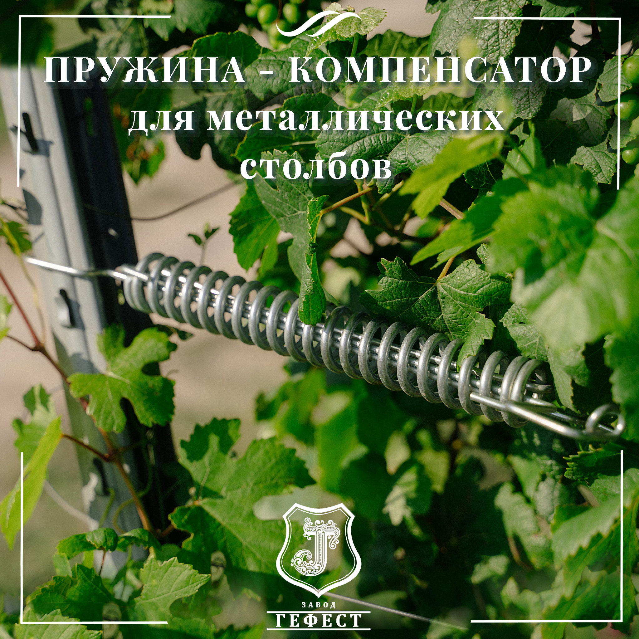 Пружина - компенсатор для откосных шпалерных столбов на виноградниках