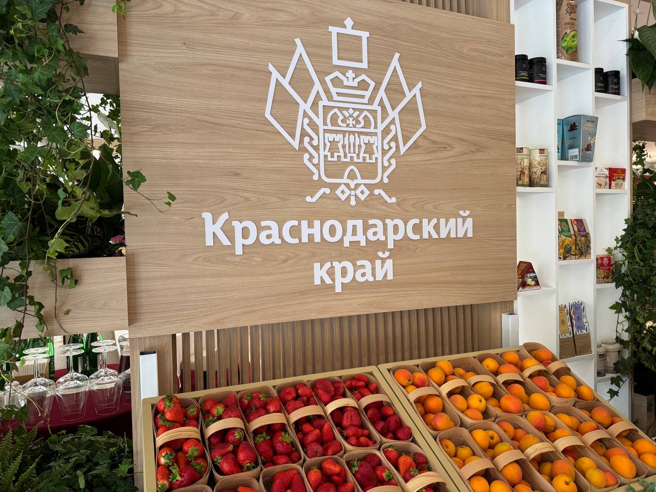 В развитие пяти импортозамещающих промышленных производств Краснодарского края вложат 6,2 млрд рублей инвестиций