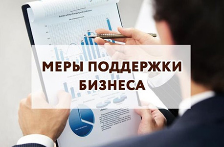 Предоставление грантов Краснодарский край